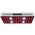 Phlizon Cob 2000 W LED LED Light