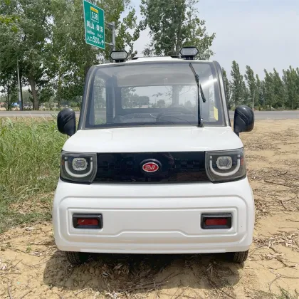 60V 2500W Electric Pickup Trucks