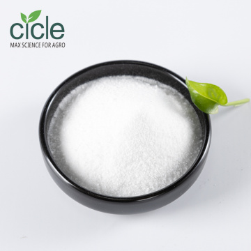 Salicylic Acid Powder 99%