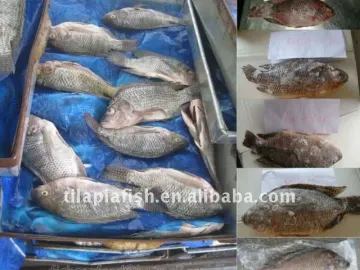 IQF Gutted& Scaled Tilapia Whole round