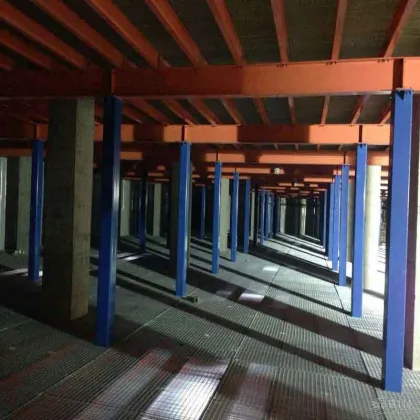 Vegetable steel frame structure cold room storage building