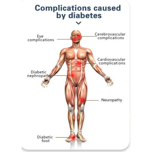 Aparatos de terapia magnética cuántica de giro portátil