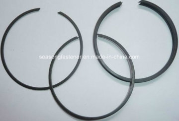Snap Ring (M2300)