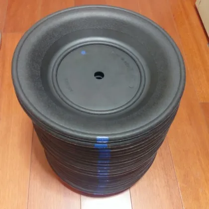 V224ND Diaphragm EPDM Parts for VersaMatic Pumps