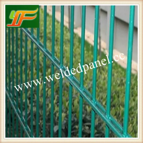 Galvanized PVC Coated Ornamental Double Loop Wire Mesh Fence( Factory& Exporter)