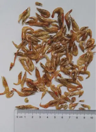 Aired-dried Fish Hot Selling Cat Snacks