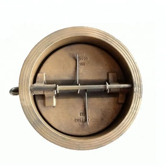 Stainless Steel CF8 SS316 Wafer Type Double Disc Swing Check Valve