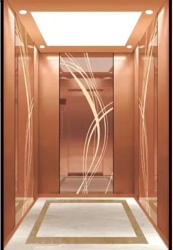 High-Speed Room-Less Passenger Elevator with Low Noise and Affordable Hoist Construction Machinery