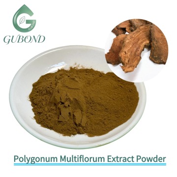 Экстракт Polygonum Multiflorum для пищевых составов