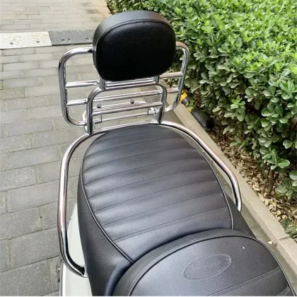 Peugeot Django150 Motorcycle Trunk Rack with Backrest Cushion