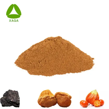Shilajit, Lion's Mane Mushroom, Aswagandha Extract Mix