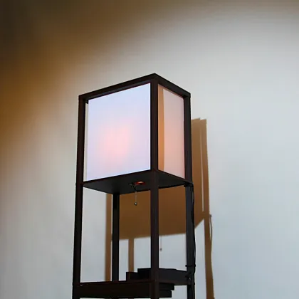 New Chinese floor lamps