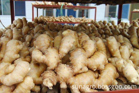 Organic Air Dried Ginger