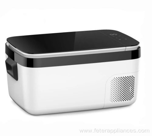 Compact 12V 24V DC Fridge with Compressor for Home and Car
