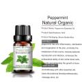 Factory Extraction Best Price 100% Pure Peppermint Oils