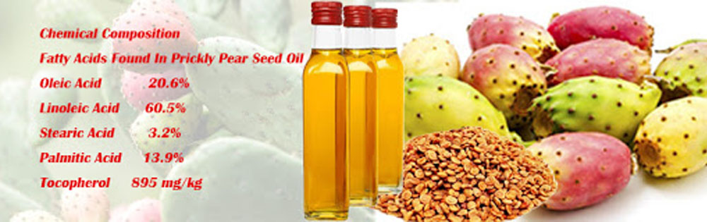 Wholesale prickly pear seed oil/cactus seed oil