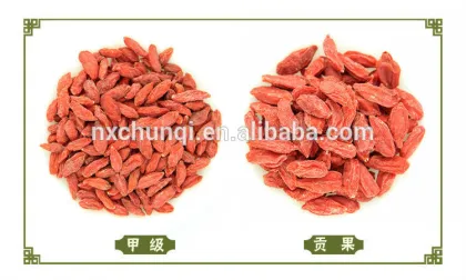 NingXia red fresh goji berries/goji berry with lowest price