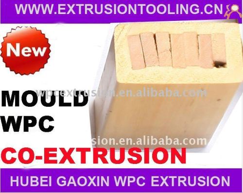 WPC CO-Extrusion Mould