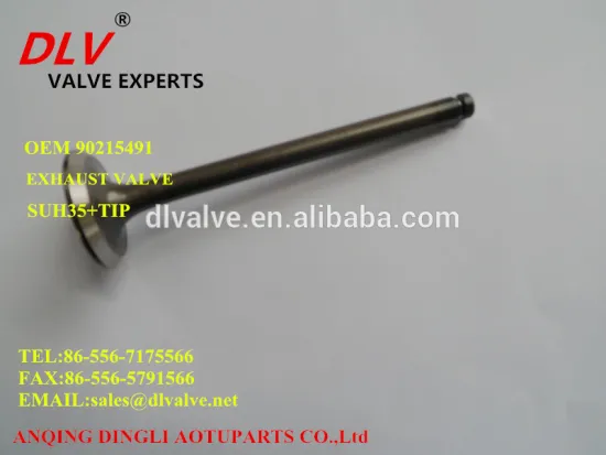 HIGH QUALITY ENGINE VALVE for LEMANS PARTS NO. 90215491 90215492
