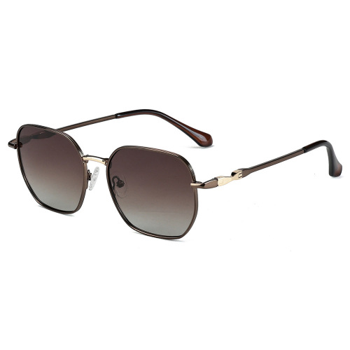 Unisex Acetate Temples Geometric Metal Sunglasses