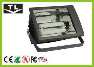Exterior Lighting 100 Watt Induction Flood Light / Flood La