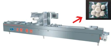 Vacuum Packaging Machine for Electronic Products