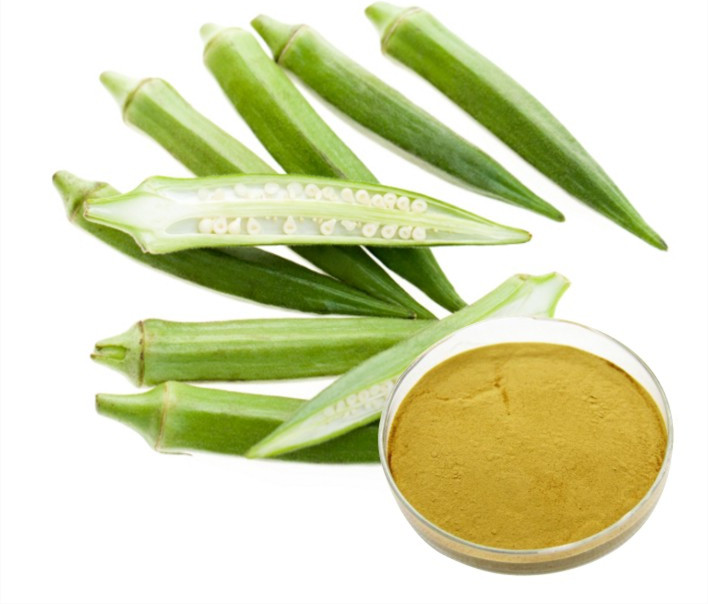 Pure Okra Extract Powder Gumbo Extract