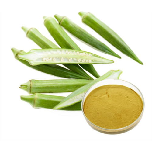 Pure Okra Extract Powder Gumbo Extract