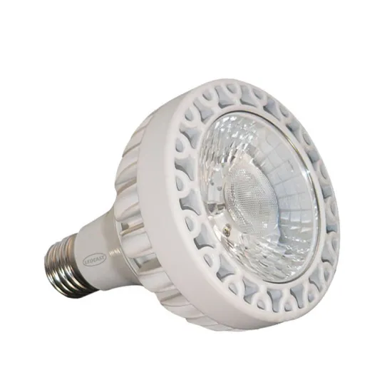 10 Year Warranty LED PAR30 33W Spotlight - LEDEAST XP30O-33 Aluminum White E27/E26 Socket COB Light