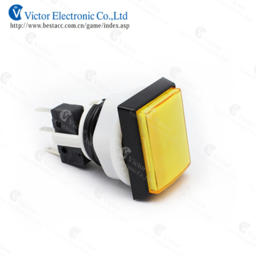 Illuminated Push Button Switch