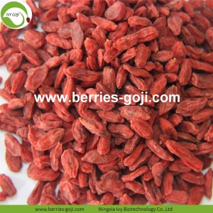 Fabriekslevering Gezonde Superfood Droge Rode Goji