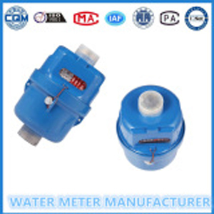 Painting Volumetric Piston Ratory Water Meter