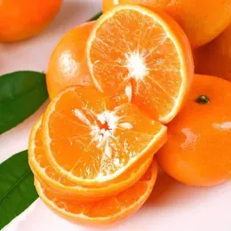 Premium Fresh Wogan Mandarins from Yunnan