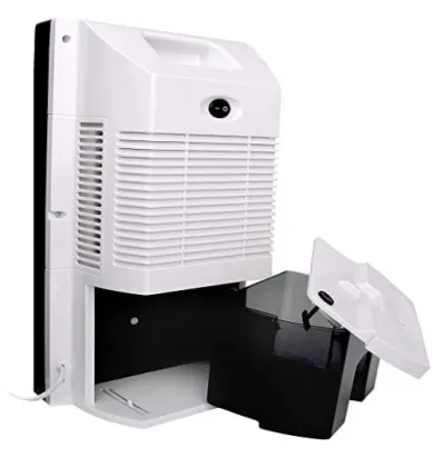 Dehumidifier with air purifier