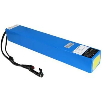 LiFePO4 battery 48V prismatic cell winston