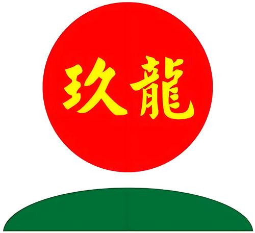 Nine Dragons Paper Group logo - Eurocrane industrial waste recycling partner