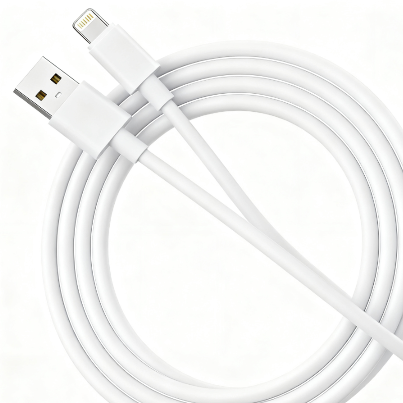 20250918 Fast Charging(2）