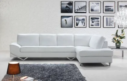 Contemporary Leather Sofa Set with Stainless steel