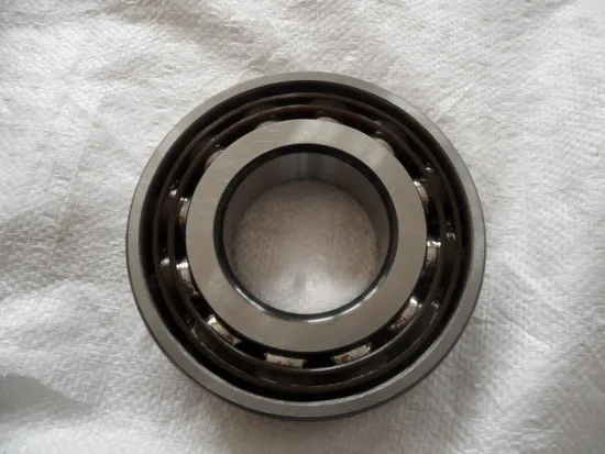 Sk 7318 Begap Angular Contact Ball Bearings Single Row