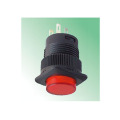 LED Illuminated Automotive Push Button Switches