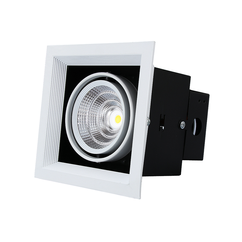 Single Head Fixture Downlight