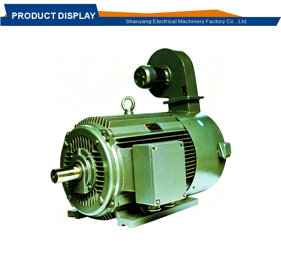 Metallurgical crane duty motor