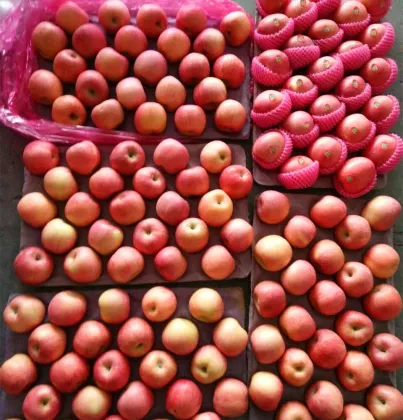 Fresh Paper Bag Fuji Apple