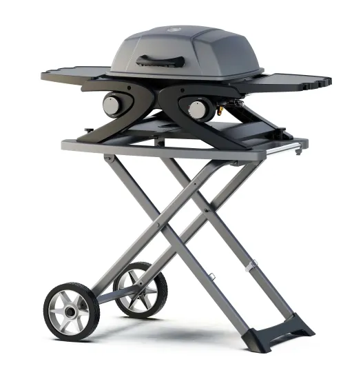 Propane Gas Grill with 2 Burner with Folding Sides and Stand
