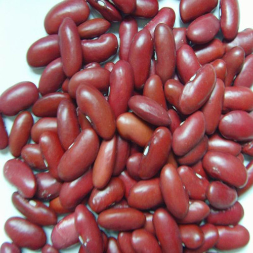 British Red Kidney Beans