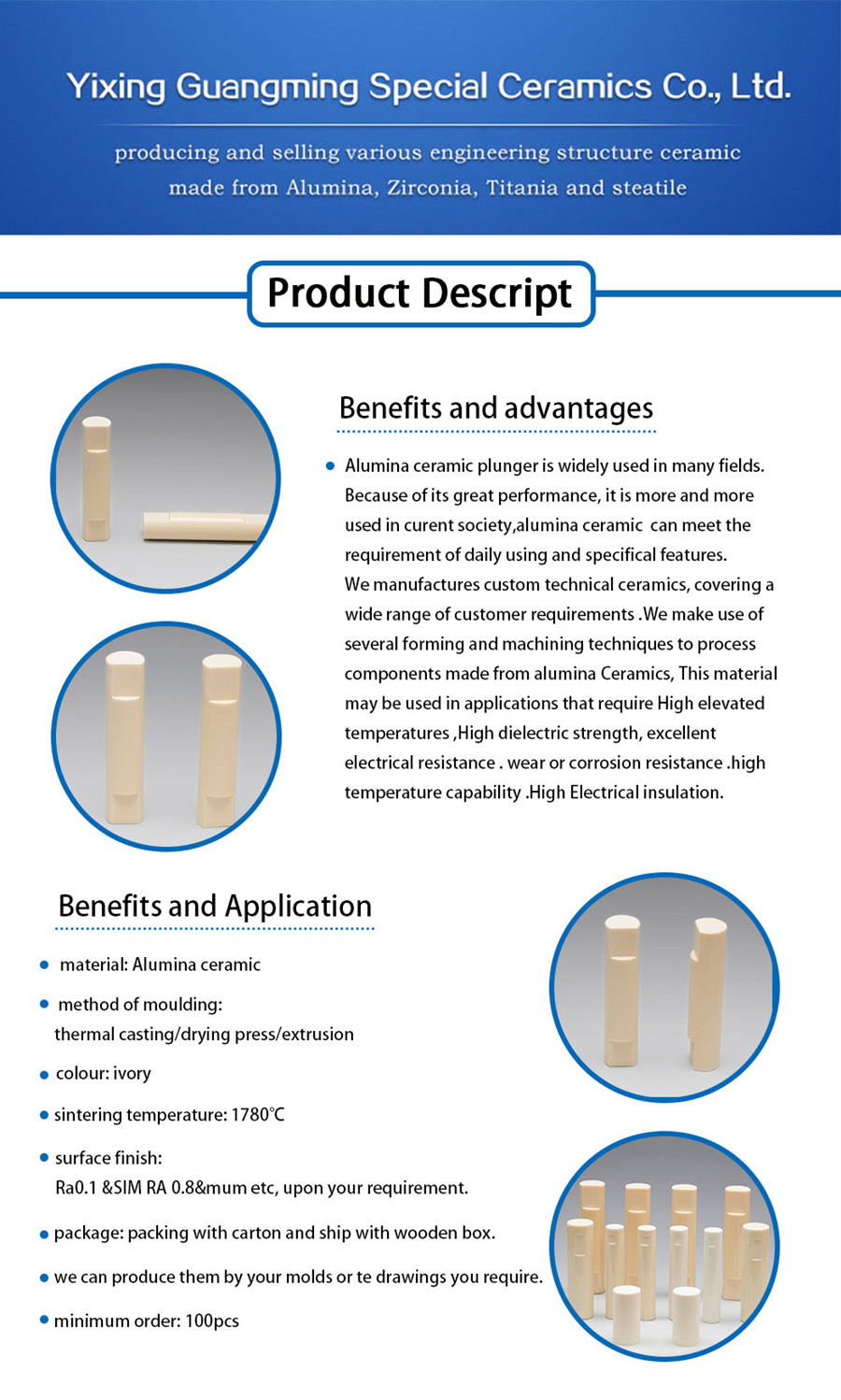 Ceramic Piston Shaft