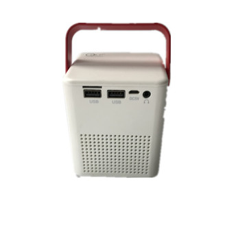 Handheld Micro Palm Digital Projector
