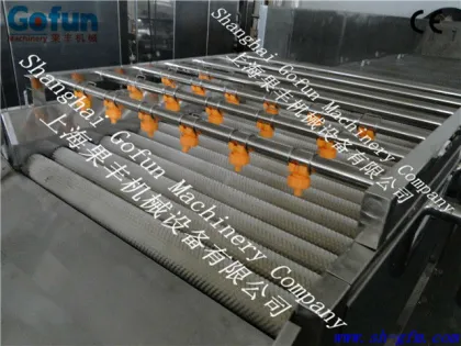 fresh fruit /vegetable washing machine for sale