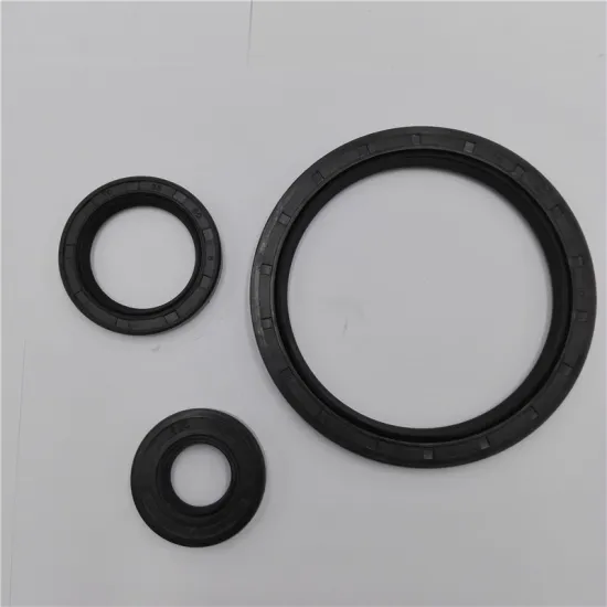 Shaft Oil Seal TC 105x135x14 Rubber Covered Double Lip With Garter Spring oil seal 105x135x14