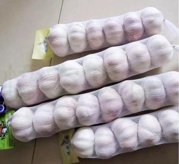 white plastic tubular mesh bag for garlic